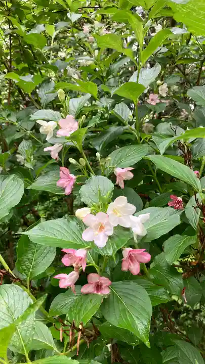 大佐神社(岡山県)