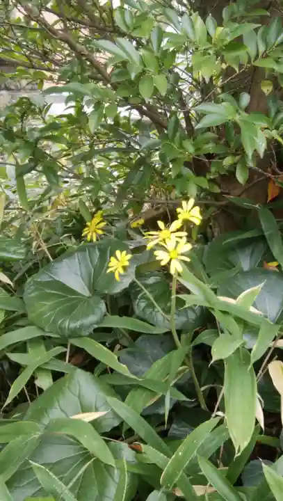 豊景神社(福島県)