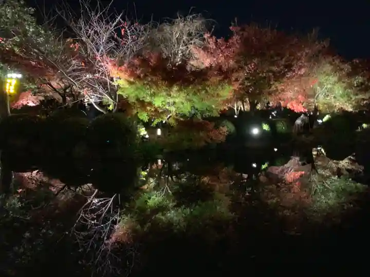 東寺(教王護国寺)の景色
