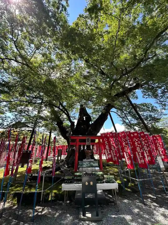 秩父今宮神社(埼玉県)