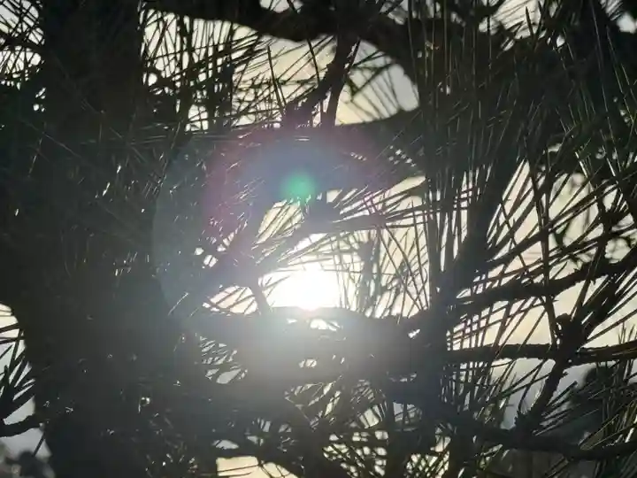 西方山極楽寺(岐阜県)