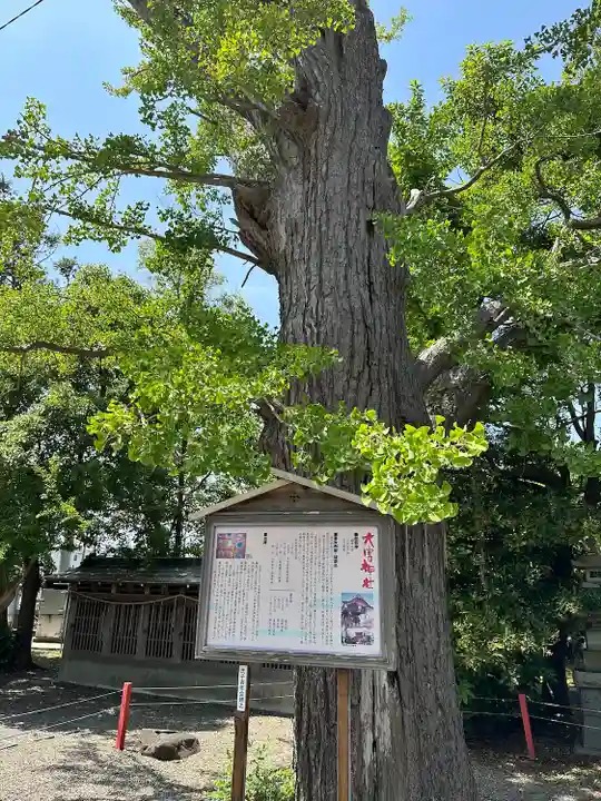 大宮神社(千葉県)