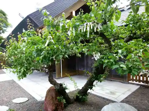 刈田神社の自然