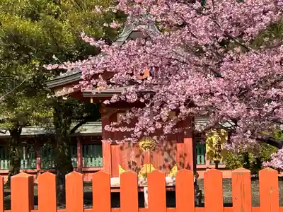 富士山本宮浅間大社(静岡県)