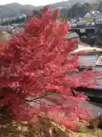 石内のお大師さん 金剛院の自然