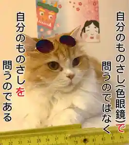 西教寺(下松駅徒歩5分)(山口県)(2022年06月10日(金) 16時48分06秒投稿)