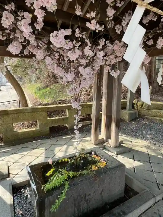 熊野大社の{uncategorized: "未分類", other: "その他", undefined: "問題あり", building: "その他建物", grave: "お墓", sacred_gate: "鳥居", guardian: "狛犬", statue: "像", buddha: "仏像", history: "歴史", nature: "自然", garden: "庭園", animal: "動物", pagoda: "塔", temizu: "手水舎", mountain_gate: "山門・神門", sanctuary: "本殿・本堂", subordinate: "末社・摂社", art: "芸術", scenery: "景色", jizo: "地蔵", ema: "絵馬", goshuin: "御朱印", omikuji: "おみくじ", items: "授与品その他", amulet: "お守り", goshuincho: "御朱印帳", eats: "食事", festival: "お祭り", votive_dance: "神楽", shichigosan: "七五三参", wedding: "結婚式", experience: "体験その他", initially: "初詣", around: "周辺", anti_infection: "感染症対策"}