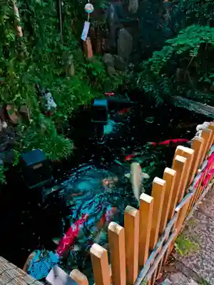 吉原弁財天本宮（吉原神社奥宮）(東京都)