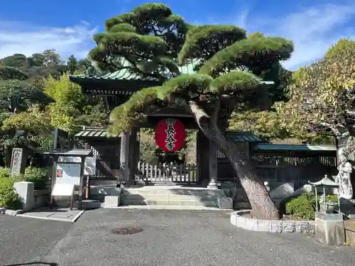 長谷寺の山門