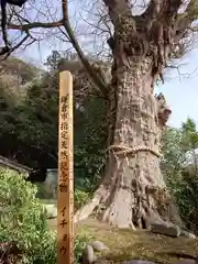 荏柄天神社(神奈川県)