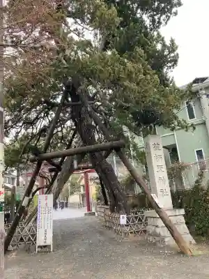荏柄天神社(神奈川県)