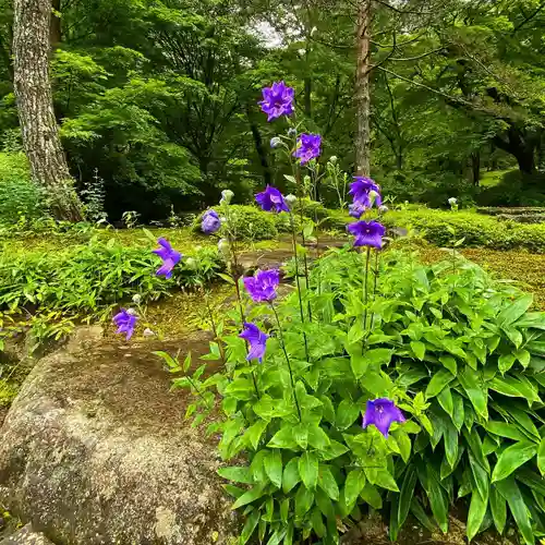 古峯神社の庭園