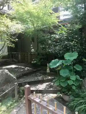 明月院(神奈川県)