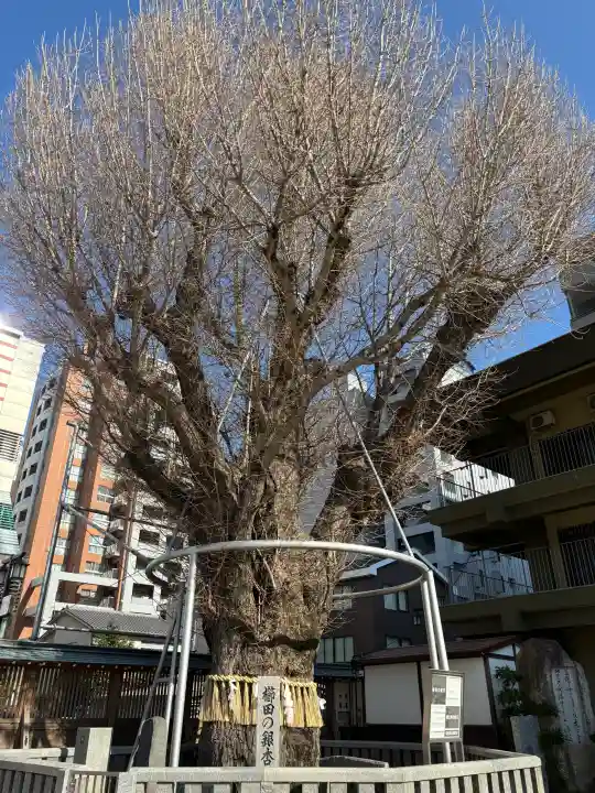 櫛田神社の{uncategorized: "未分類", other: "その他", undefined: "問題あり", building: "その他建物", grave: "お墓", sacred_gate: "鳥居", guardian: "狛犬", statue: "像", buddha: "仏像", history: "歴史", nature: "自然", garden: "庭園", animal: "動物", pagoda: "塔", temizu: "手水舎", mountain_gate: "山門・神門", sanctuary: "本殿・本堂", subordinate: "末社・摂社", art: "芸術", scenery: "景色", jizo: "地蔵", ema: "絵馬", goshuin: "御朱印", omikuji: "おみくじ", items: "授与品その他", amulet: "お守り", goshuincho: "御朱印帳", eats: "食事", festival: "お祭り", votive_dance: "神楽", shichigosan: "七五三参", wedding: "結婚式", experience: "体験その他", initially: "初詣", around: "周辺", anti_infection: "感染症対策"}