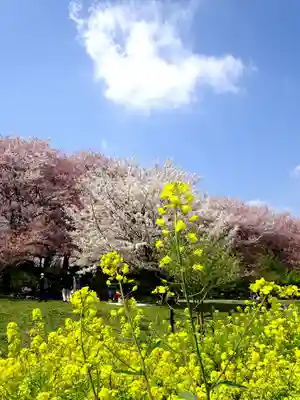 上高野神社(埼玉県)
