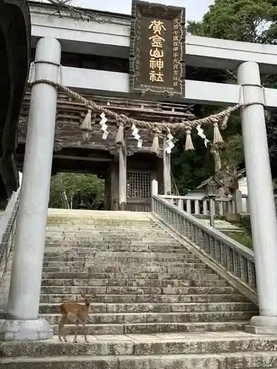 金華山黄金山神社の鳥居