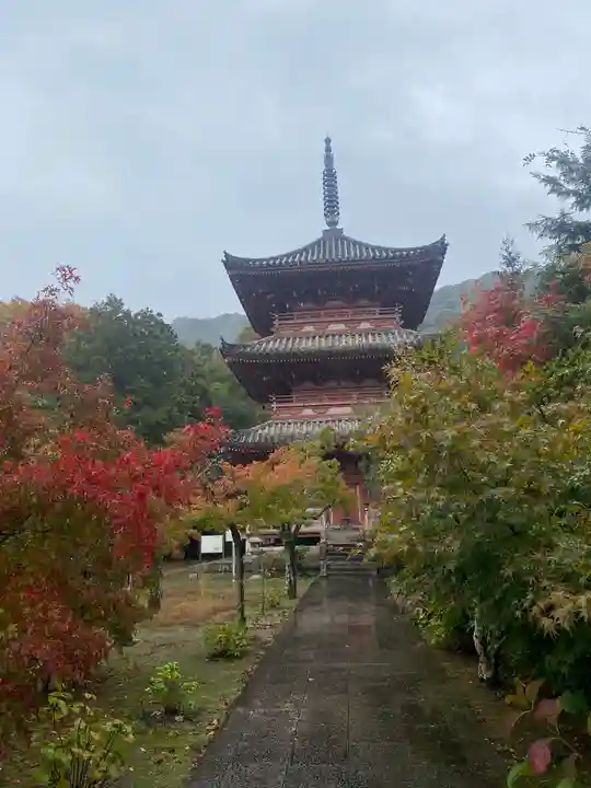 太山寺(兵庫県)