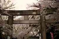 上野東照宮の鳥居