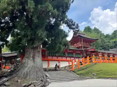 春日大社(奈良県)