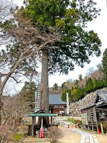 観音正寺の自然