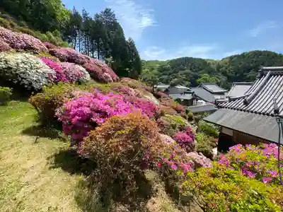 朝日寺(岡山県)
