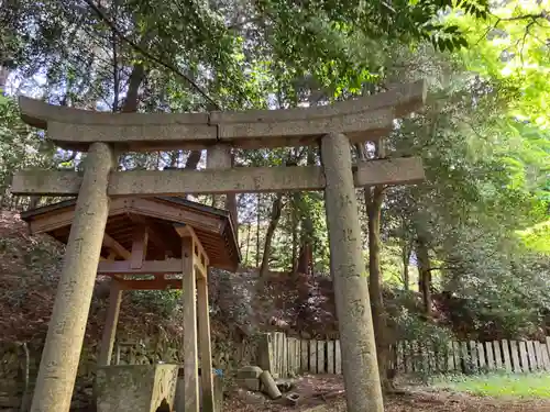 龍河神社の鳥居