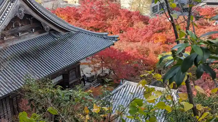 禅林寺(永観堂)(京都府)