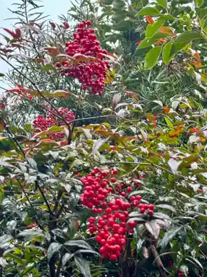 大乗寺(京都府)