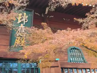 養玉院如来寺(東京都)