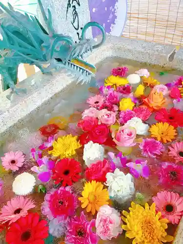 札幌諏訪神社の手水舎