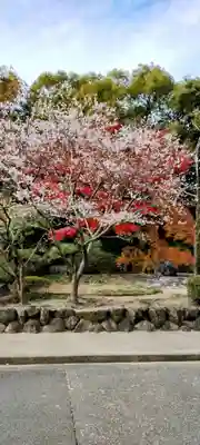 熱田神宮(愛知県)