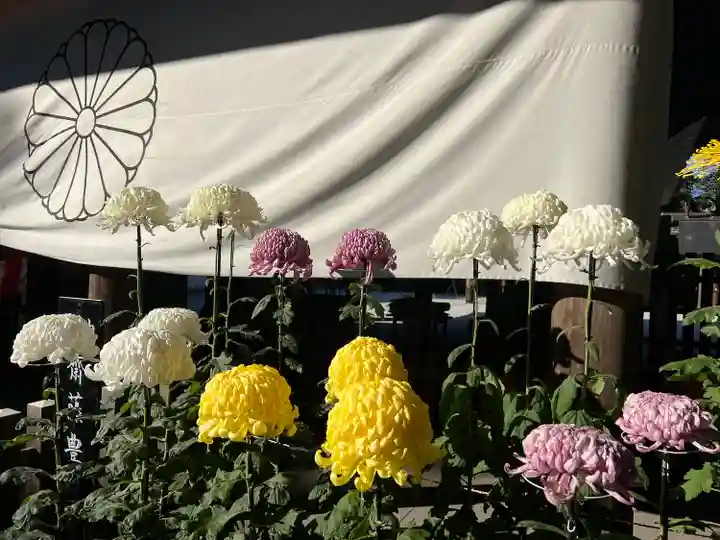 阿佐ヶ谷神明宮(東京都)