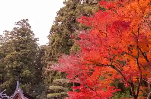 小國神社(静岡県)