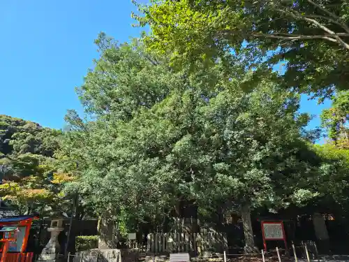 熊野速玉大社(和歌山県)