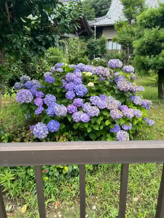 西明寺(岐阜県)