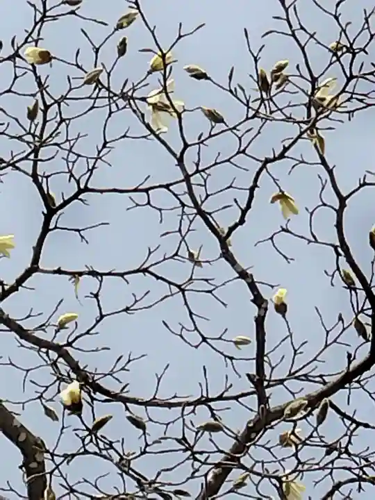 厚別神社(北海道)