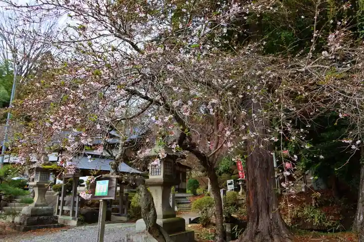 鹿島大神宮の自然
