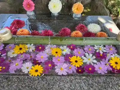 豊龍神社(山形県)