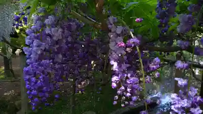 歌泉堂(春日大社神苑萬葉植物園内鎮座)(奈良県)