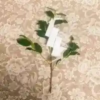 彌彦神社 (伊夜日子神社)の授与品その他