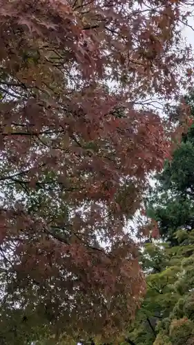 くろ谷 金戒光明寺(京都府)