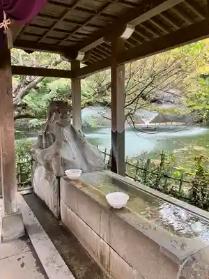 井の頭弁財天(大盛寺)(東京都)
