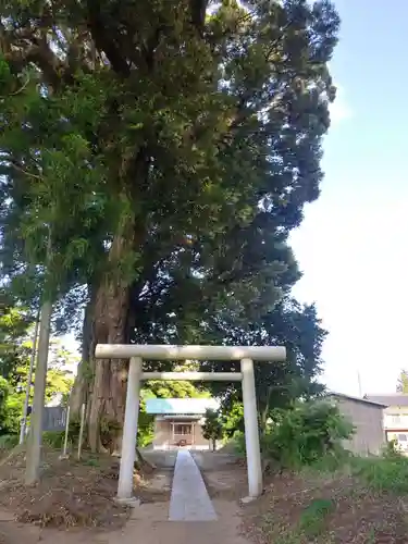 香取神社の鳥居