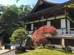 報国寺(神奈川県)