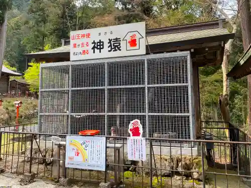 日吉大社の建物その他