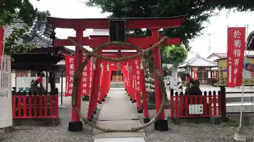 於菊稲荷神社の鳥居