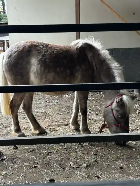 平塚八幡宮(神奈川県)