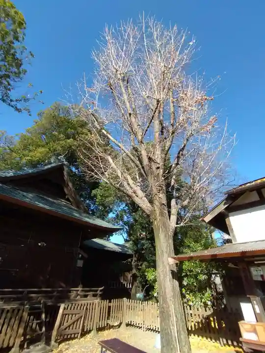 阿邪訶根神社(福島県)