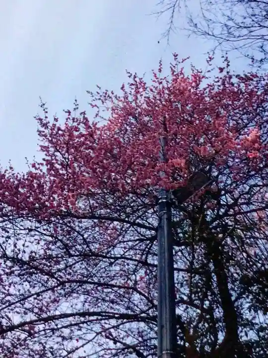 代々木八幡宮(東京都)