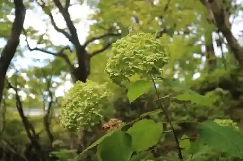 東福禅寺（東福寺）(京都府)